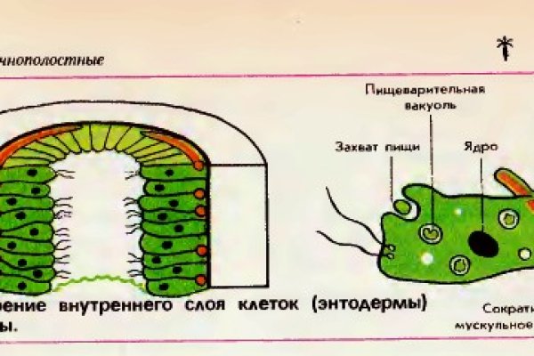 Омг маркет